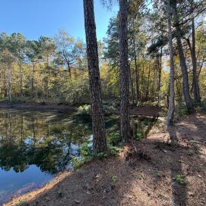 Photo #23 of Off W. Powersville Rd, Lumberton, NC 49.0 acres