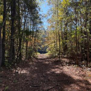 Photo #24 of Off W. Powersville Rd, Lumberton, NC 49.0 acres