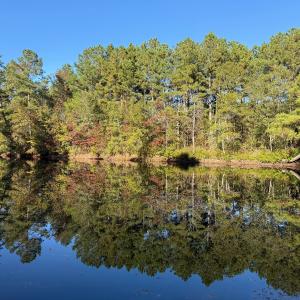 Photo #25 of Off W. Powersville Rd, Lumberton, NC 49.0 acres