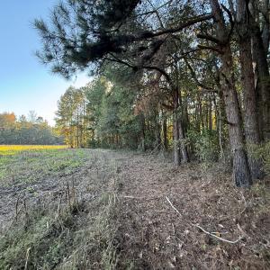 Photo #27 of Off W. Powersville Rd, Lumberton, NC 49.0 acres