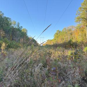 Photo #28 of Off W. Powersville Rd, Lumberton, NC 49.0 acres