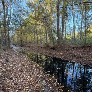 Photo #29 of Off W. Powersville Rd, Lumberton, NC 49.0 acres