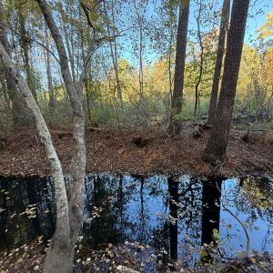 Photo #30 of Off W. Powersville Rd, Lumberton, NC 49.0 acres