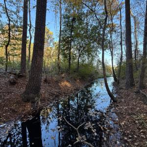 Photo #31 of Off W. Powersville Rd, Lumberton, NC 49.0 acres