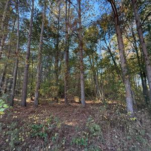 Photo #32 of Off W. Powersville Rd, Lumberton, NC 49.0 acres