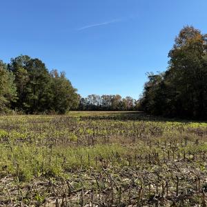 Photo #33 of Off W. Powersville Rd, Lumberton, NC 49.0 acres