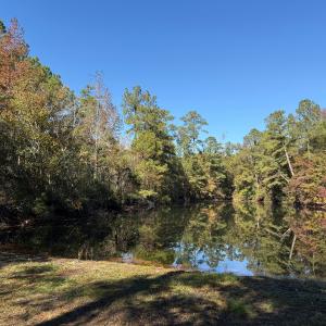 Photo #34 of Off W. Powersville Rd, Lumberton, NC 49.0 acres