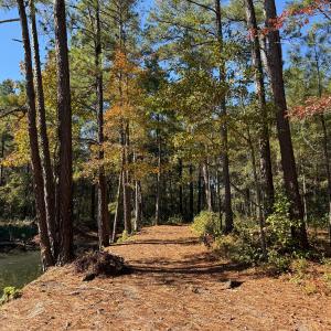 Photo #35 of Off W. Powersville Rd, Lumberton, NC 49.0 acres
