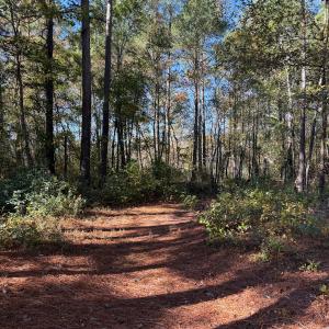 Photo #36 of Off W. Powersville Rd, Lumberton, NC 49.0 acres