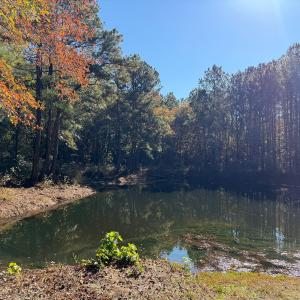 Photo #37 of Off W. Powersville Rd, Lumberton, NC 49.0 acres