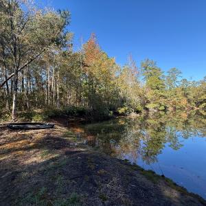Photo #38 of Off W. Powersville Rd, Lumberton, NC 49.0 acres