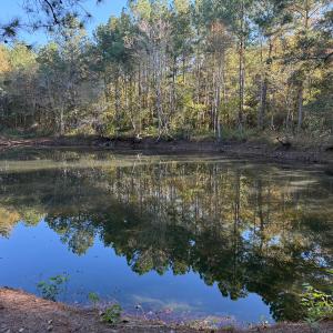 Photo #39 of Off W. Powersville Rd, Lumberton, NC 49.0 acres