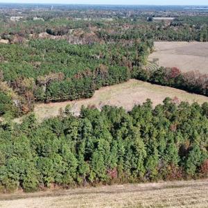 Photo #4 of Off W. Powersville Rd, Lumberton, NC 49.0 acres
