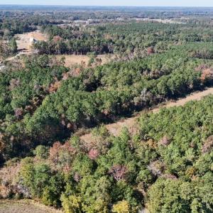 Photo #9 of Off W. Powersville Rd, Lumberton, NC 49.0 acres