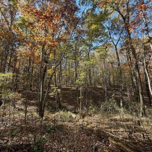 Photo #13 of Off Slatesville Road, Keeling, VA 40.0 acres