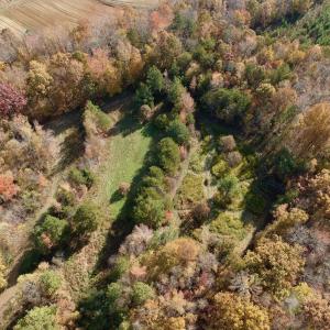 Photo #14 of Off Slatesville Road, Keeling, VA 40.0 acres