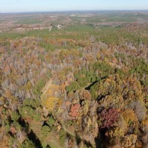 Photo #1 of Off Slatesville Road, Keeling, VA 40.0 acres