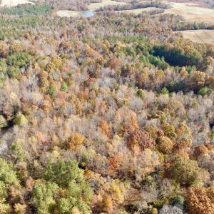 Photo #2 of Off Slatesville Road, Keeling, VA 40.0 acres