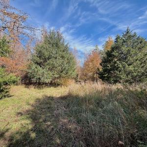 Photo #19 of Off Slatesville Road, Keeling, VA 40.0 acres