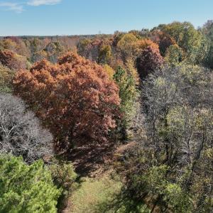 Photo #23 of Off Slatesville Road, Keeling, VA 40.0 acres