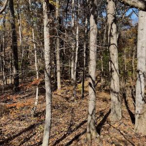 Photo #25 of Off Slatesville Road, Keeling, VA 40.0 acres
