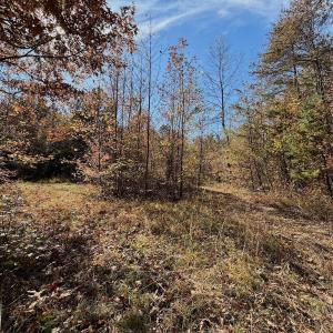 Photo #26 of Off Slatesville Road, Keeling, VA 40.0 acres