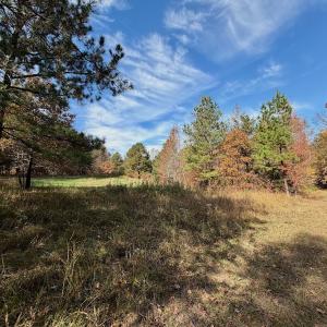 Photo #3 of Off Slatesville Road, Keeling, VA 40.0 acres