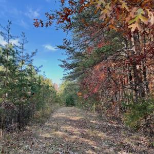 Photo #4 of Off Slatesville Road, Keeling, VA 40.0 acres