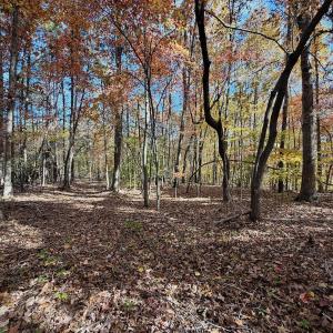 Photo #6 of Off Slatesville Road, Keeling, VA 40.0 acres