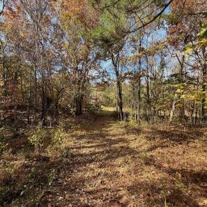 Photo #7 of Off Slatesville Road, Keeling, VA 40.0 acres