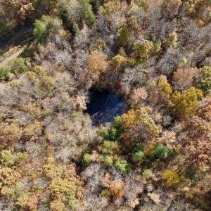 Photo #8 of Off Slatesville Road, Keeling, VA 40.0 acres