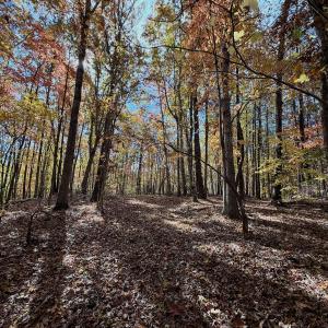 Photo #9 of Off Slatesville Road, Keeling, VA 40.0 acres