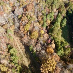 Photo #37 of Off Slatesville Road, Keeling, VA 40.0 acres