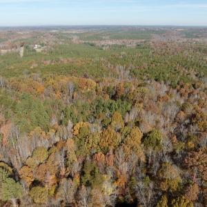Photo #38 of Off Slatesville Road, Keeling, VA 40.0 acres