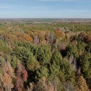 Photo #40 of Off Slatesville Road, Keeling, VA 40.0 acres