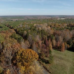 Photo #32 of Off Slatesville Road, Keeling, VA 40.0 acres