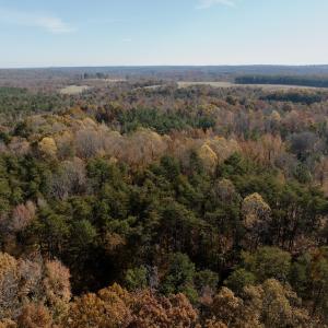 Photo #33 of Off Slatesville Road, Keeling, VA 40.0 acres