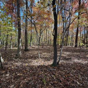 Photo #41 of Off Slatesville Road, Keeling, VA 40.0 acres