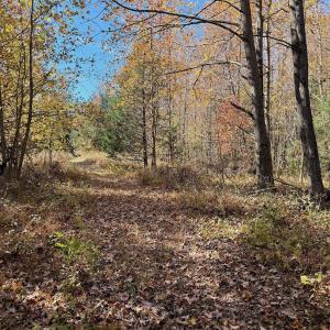 Photo #46 of Off Slatesville Road, Keeling, VA 40.0 acres