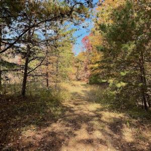 Photo #65 of Off Slatesville Road, Keeling, VA 40.0 acres