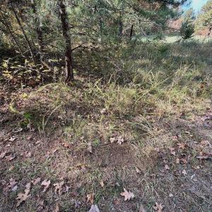 Photo #66 of Off Slatesville Road, Keeling, VA 40.0 acres