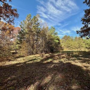 Photo #67 of Off Slatesville Road, Keeling, VA 40.0 acres