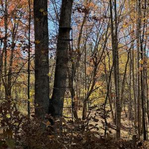 Photo #68 of Off Slatesville Road, Keeling, VA 40.0 acres