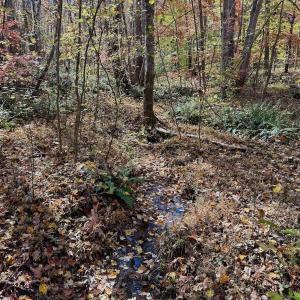 Photo #71 of Off Slatesville Road, Keeling, VA 40.0 acres