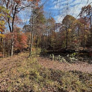 Photo #73 of Off Slatesville Road, Keeling, VA 40.0 acres