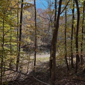 Photo #76 of Off Slatesville Road, Keeling, VA 40.0 acres