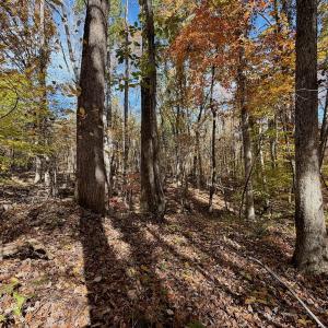 Photo #77 of Off Slatesville Road, Keeling, VA 40.0 acres