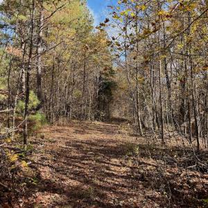Photo #78 of Off Slatesville Road, Keeling, VA 40.0 acres