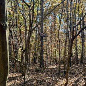 Photo #79 of Off Slatesville Road, Keeling, VA 40.0 acres