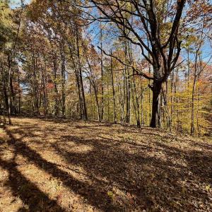 Photo #80 of Off Slatesville Road, Keeling, VA 40.0 acres